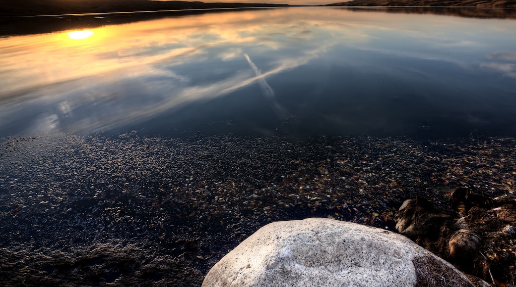 Buffalo Pound Lake Saskatchewan