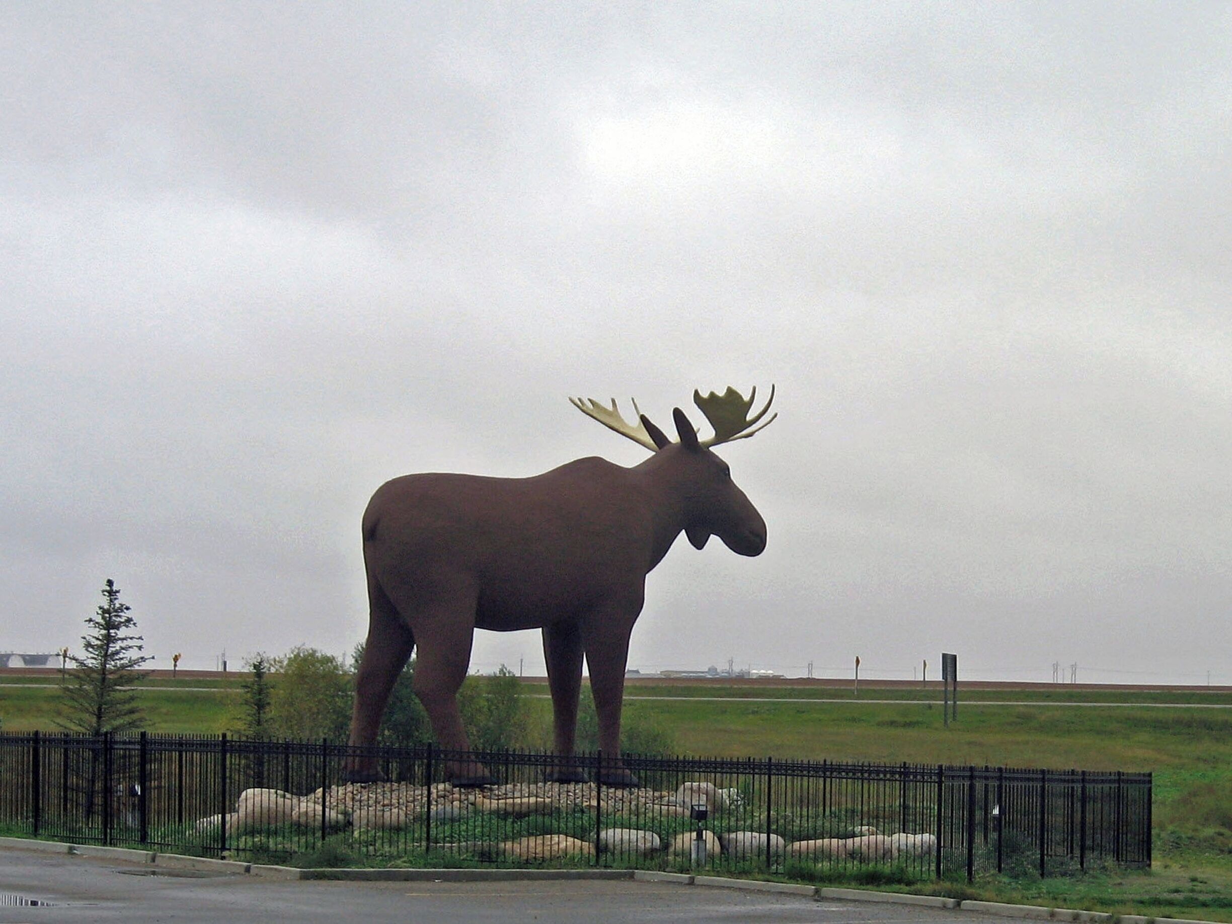 "Mac The Moose" looks out over the Trans- Canada Highway in Moose Jaw, Saskatchewan.