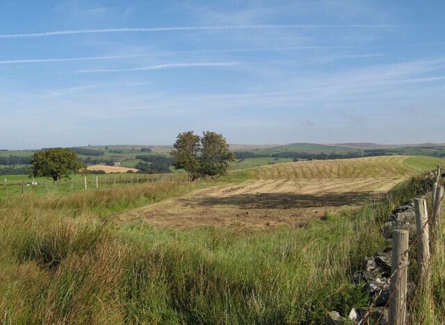 Silage field The farmer has taken a late silage crop off the field by the roadside, leaving it ridged and stripy.