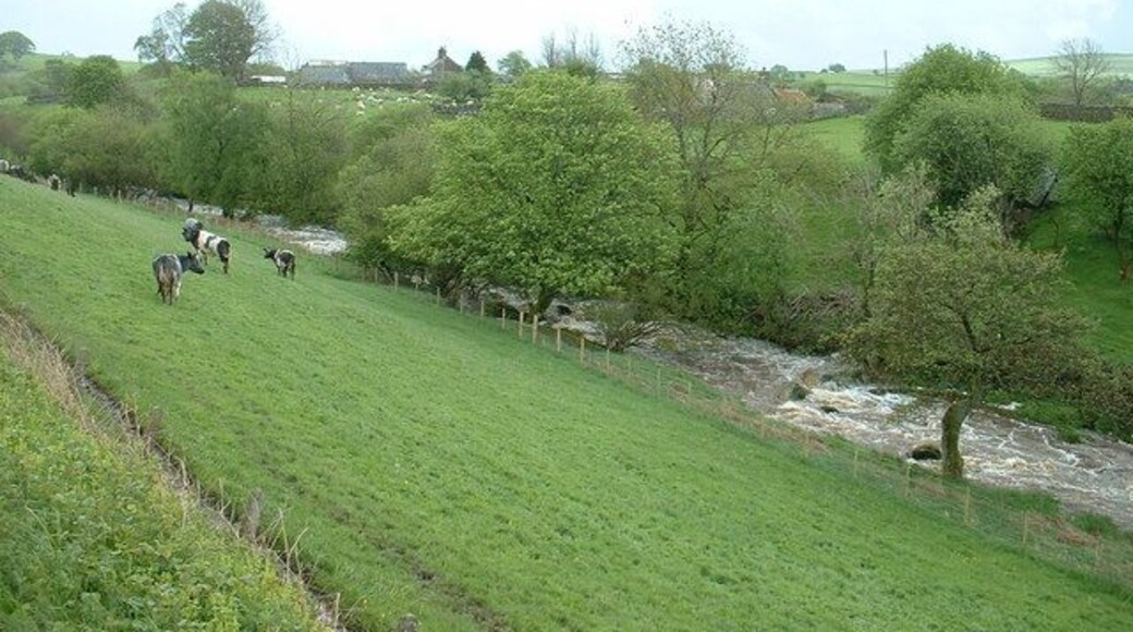 The Merddwr. "Merddwr" seems to be the name of this river. "Dwr" means water...I don't know what "Merd" means. I doubt there is a French connection. :-)