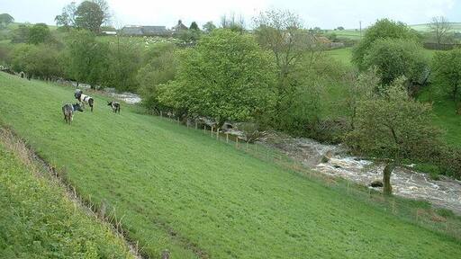 The Merddwr. "Merddwr" seems to be the name of this river. "Dwr" means water...I don't know what "Merd" means. I doubt there is a French connection. :-)