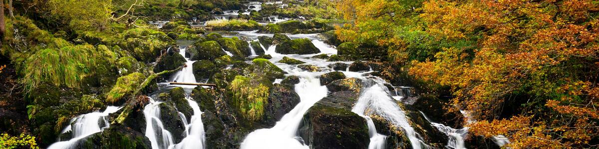 Ein mehrstufiger Wasserfall, umgeben von Herbstlaub.