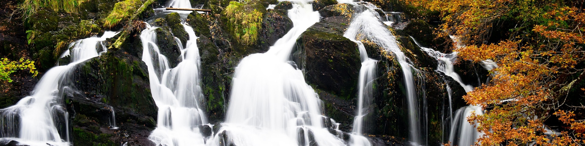 Une cascade à plusieurs niveaux, entourée d'un feuillage automnal.