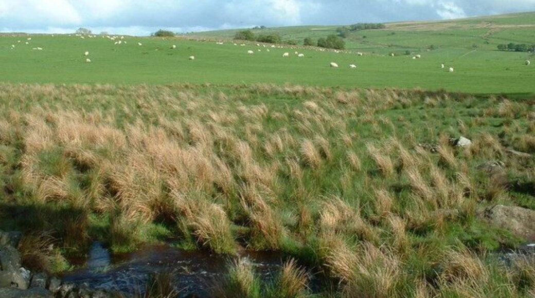 Farmland near Glasfryn.