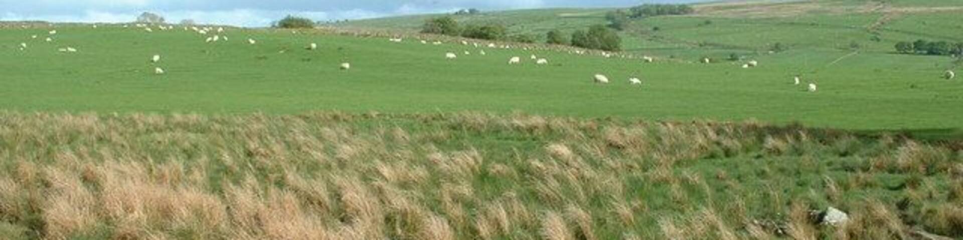 Farmland near Glasfryn.