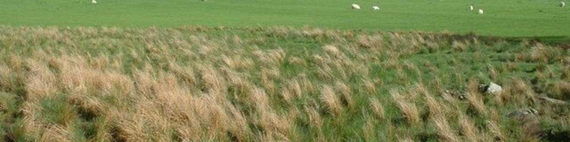 Farmland near Glasfryn.