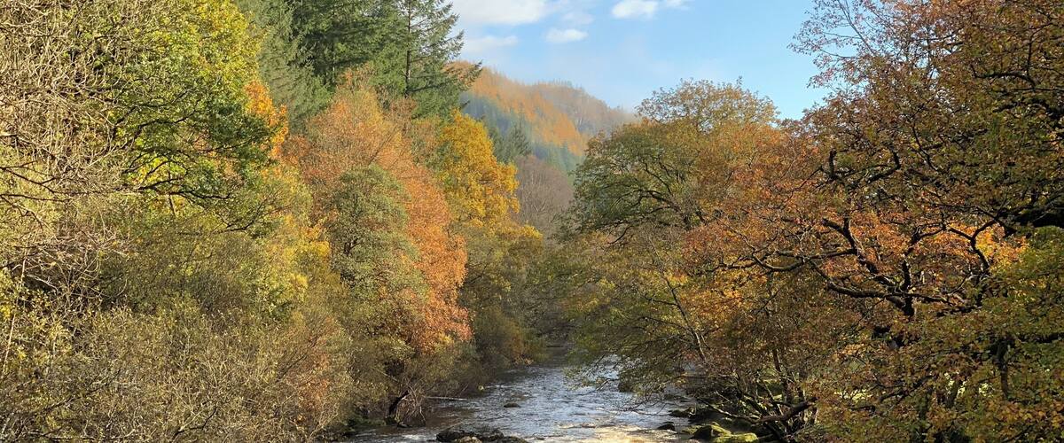 #snowdonia #camping #nature #wales #autumn