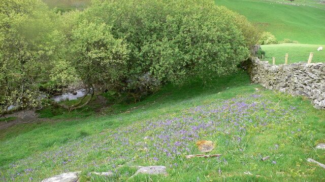 Stream Stream which joins Afon Caletwr, between Pentrefoelas and Ysbyty Ifan