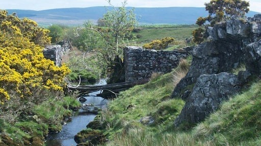 Abutments of a former bridge over Afon Cadnant