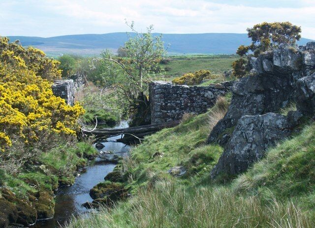 A stream flowing through a rocky landscape with yellow flowering bushes and a stone wall.