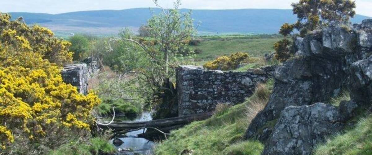 A stream flowing through a rocky landscape with yellow flowering bushes and a stone wall.