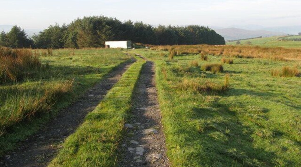 Track to Brynmyllt A track to the distant farm passes over the pasture by an unmarked woodland. An old lorry body has been pressed into service as a shed. The Snowdonia National Park boundary runs parallel to the track here, in the left of the image.
