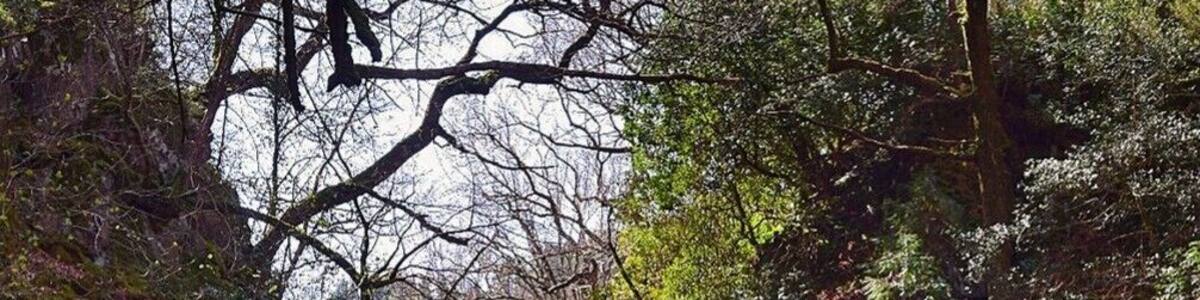 Fairy glen gorge an amazing spot for photography just outside betwys y coed