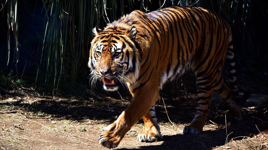 What are you looking forward to with sharp eyes? #Wildlife