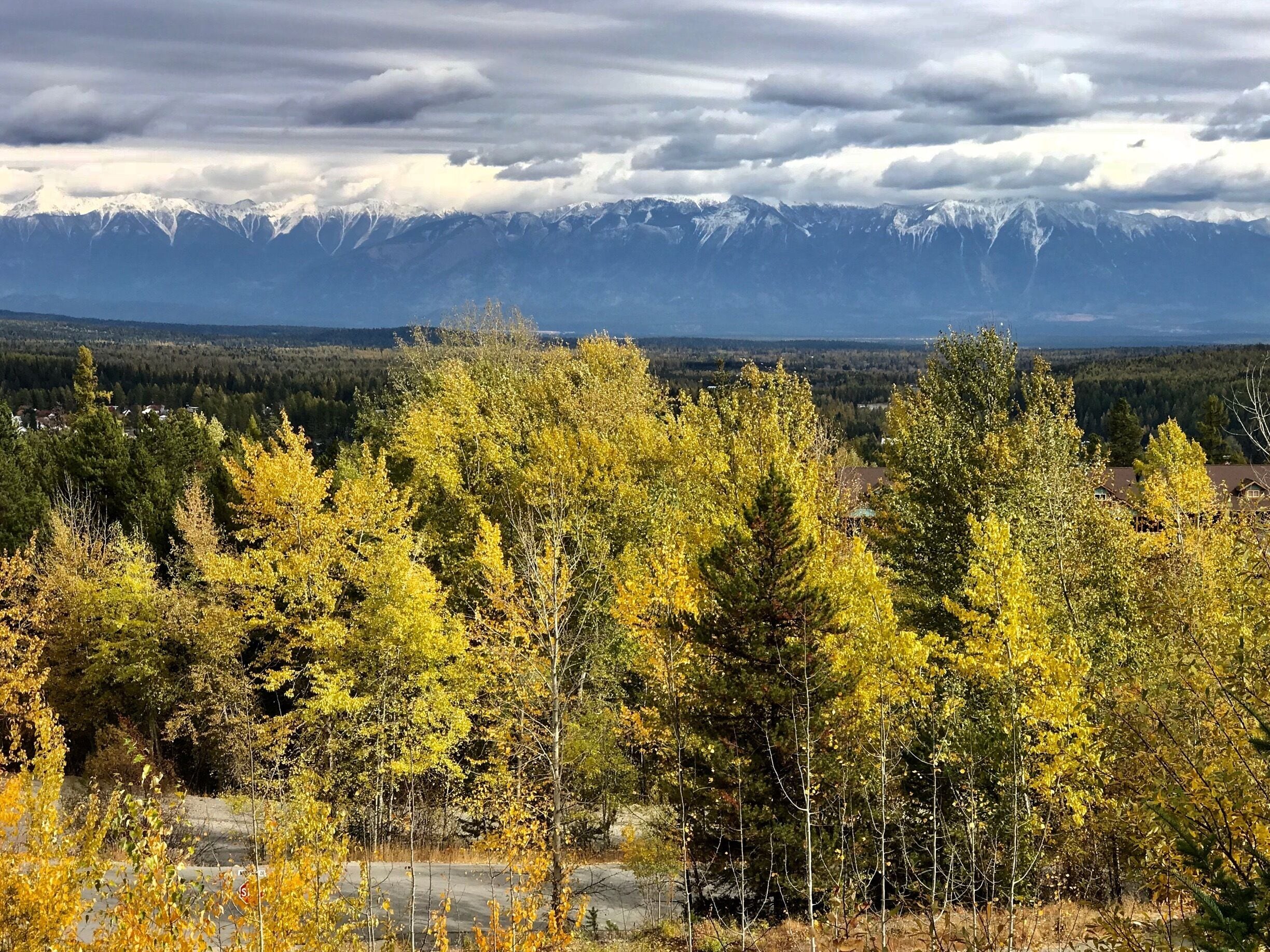 A view towards the Purcell Mountains taken from near the Rosa chairlift Kimberley BC
