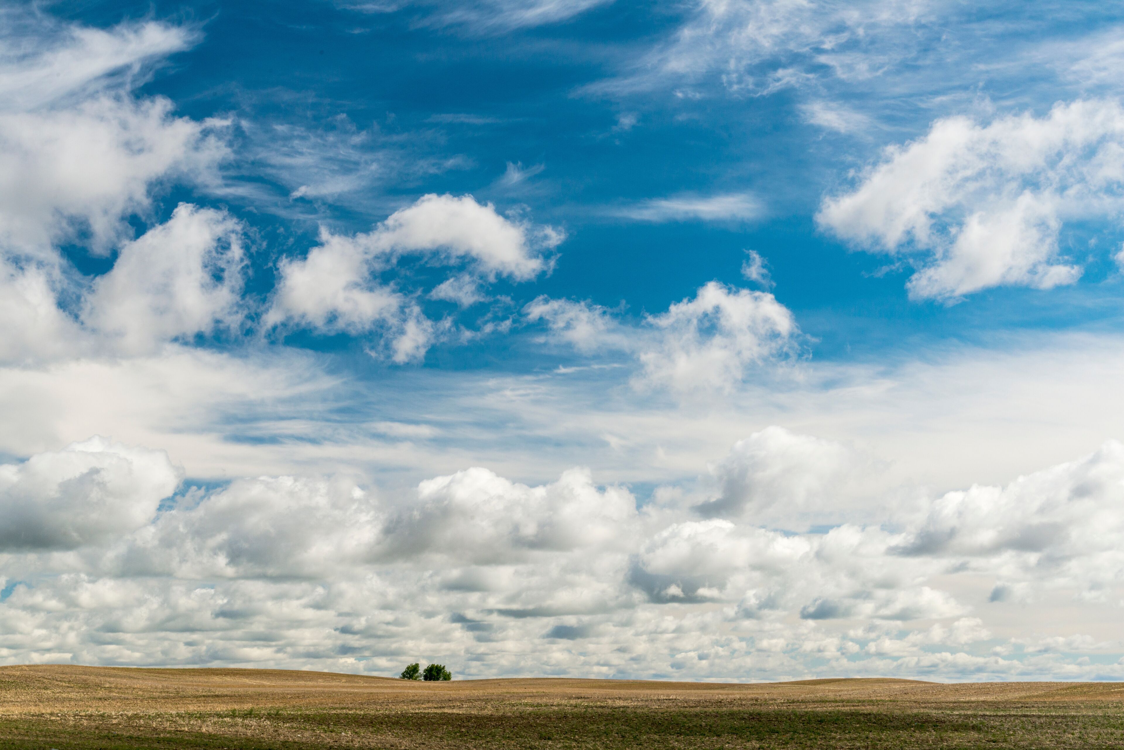 Canada, Saskatchewan, North Battleford.  Big sky over a recently harvested wheat field.