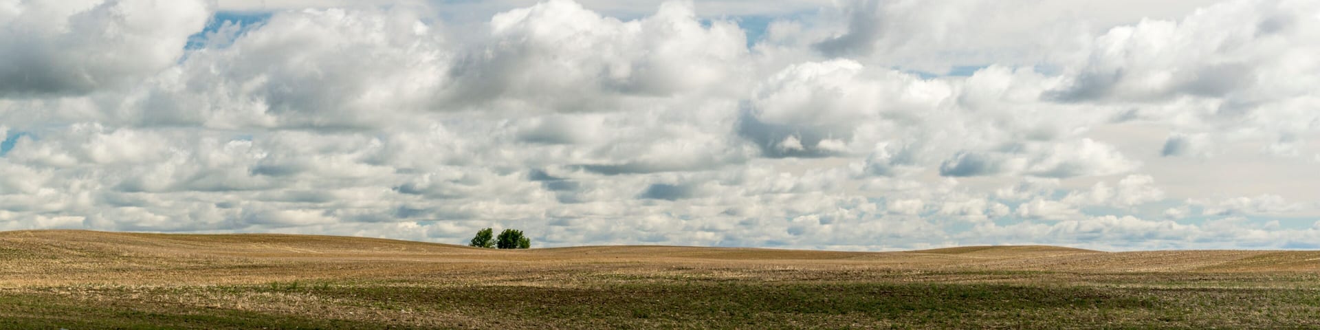Canada, Saskatchewan, North Battleford. Big sky over a recently harvested wheat field.