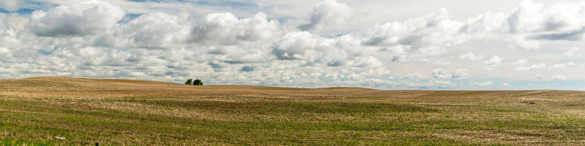 Canada, Saskatchewan, North Battleford. Big sky over a recently harvested wheat field.