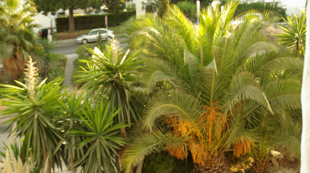 ® S.D. (ES,EN) MIJAS SITIO DE CALAHONDA URB.MEDINA DEL ZOCO