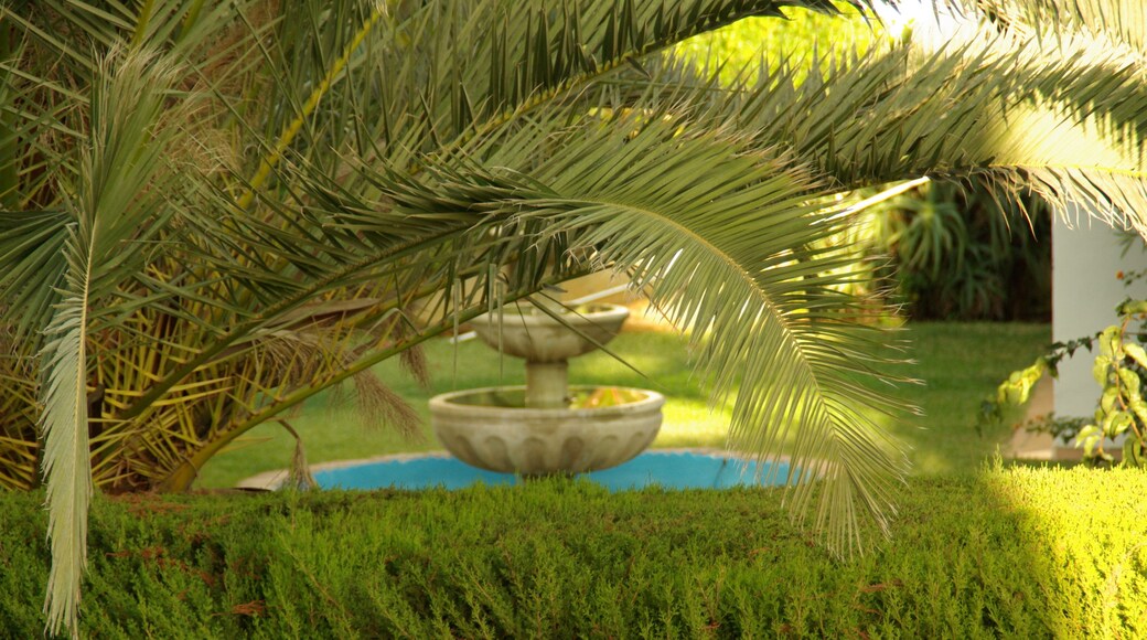 ® S.D. (ES,EN) MIJAS SITIO DE CALAHONDA URB.MEDINA DEL ZOCO