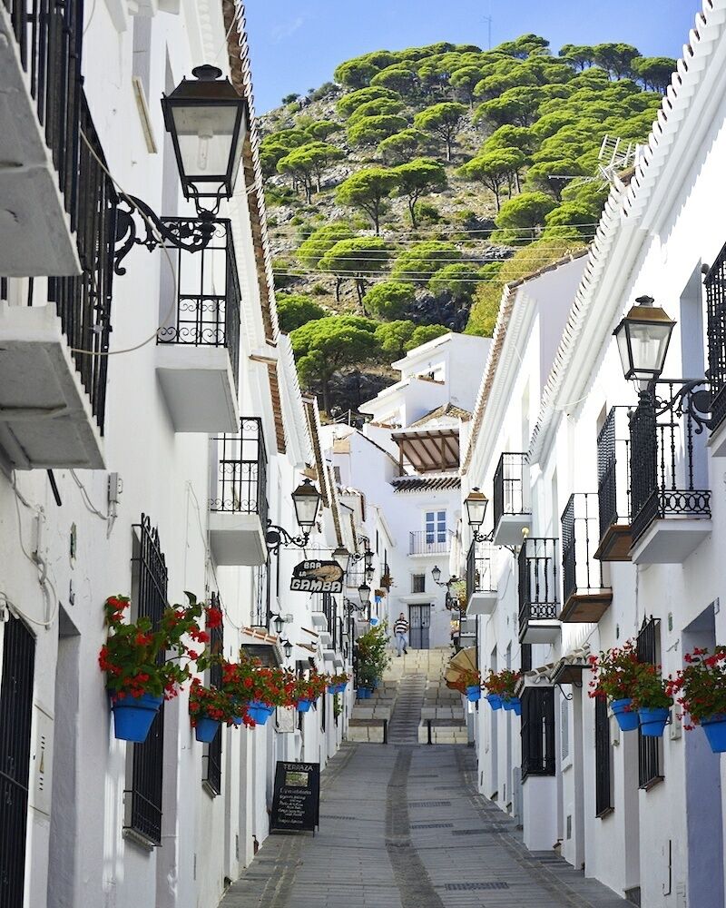 A narrow street flanked by white buildings with black railings and flower pots. A hill with trees is visible in the background.