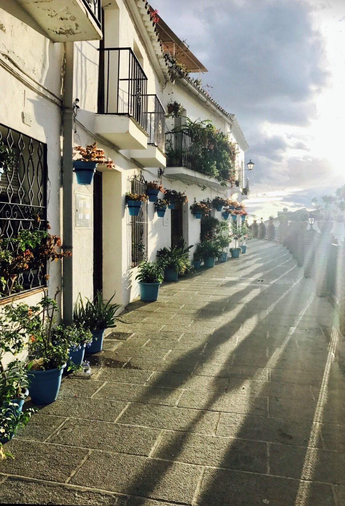 A narrow street lined with white buildings, potted plants, and a clear sky.