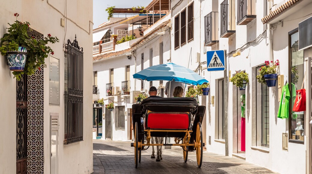 Guided tour through the picturesque streets of the Spanish mountain village of Mijas, by horse and carriage.