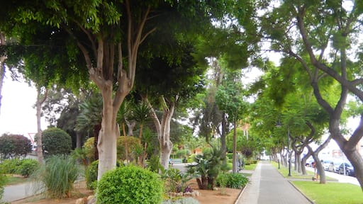 Parque San Manuel (Mijas Costa)