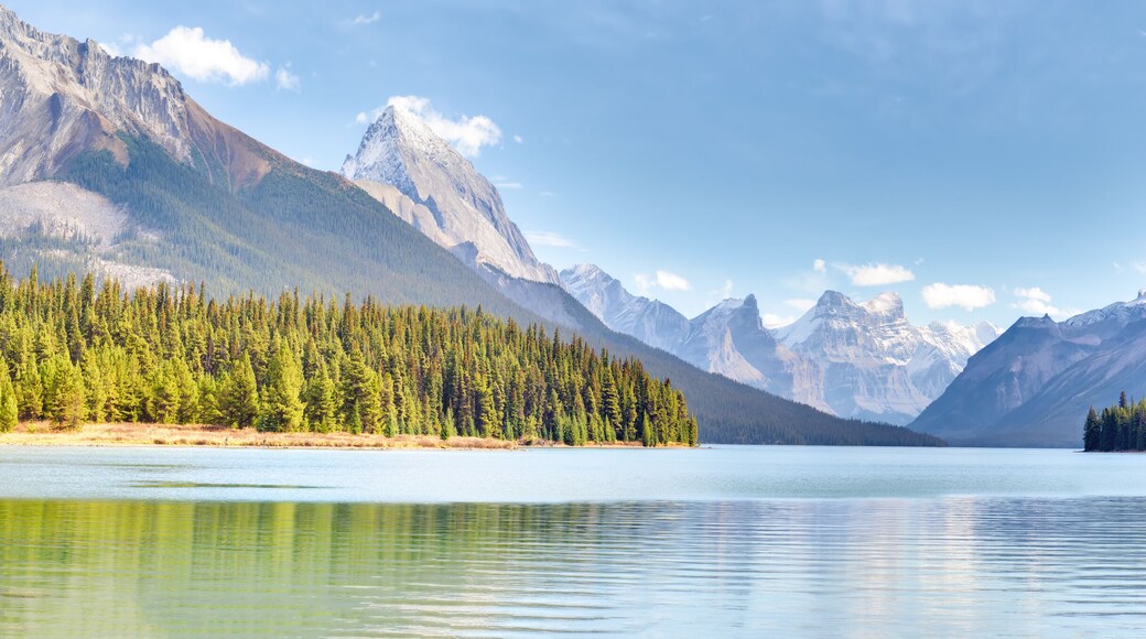 ๋กํค๋ง์ดํดํ์ฐ์ค