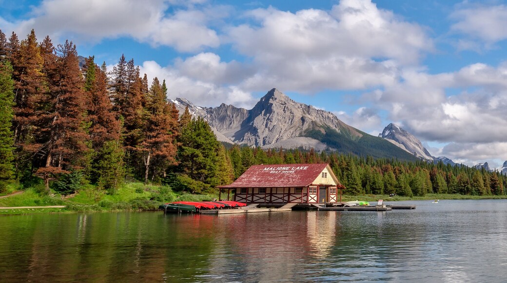 ๋กํค๋ง์ดํดํ์ฐ์ค