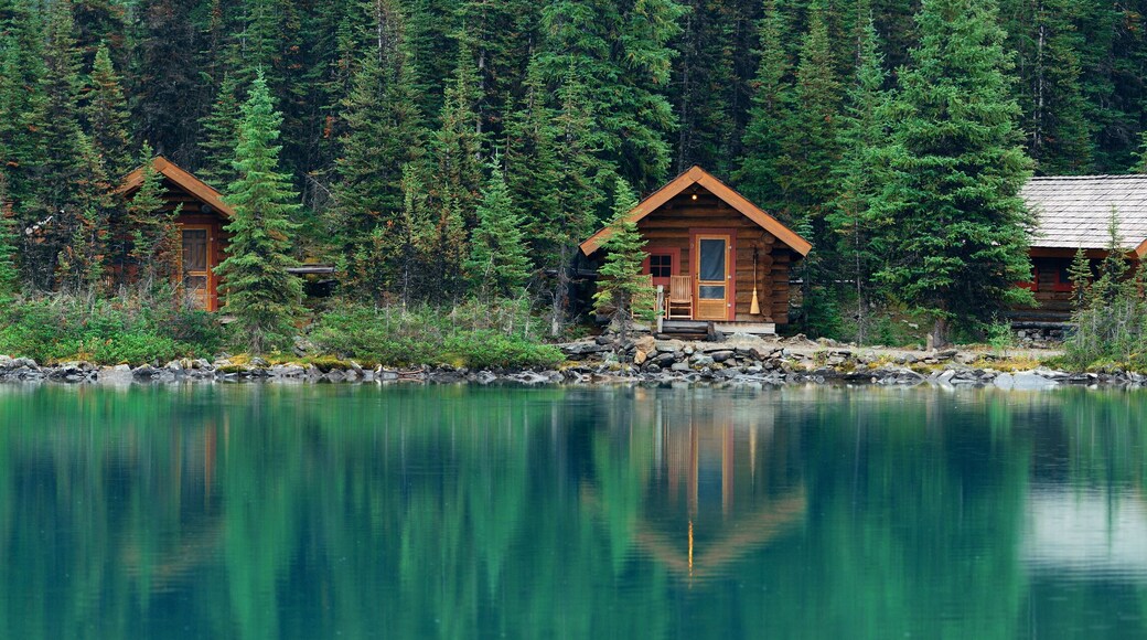 ๋กํค๋ง์ดํดํ์ฐ์ค