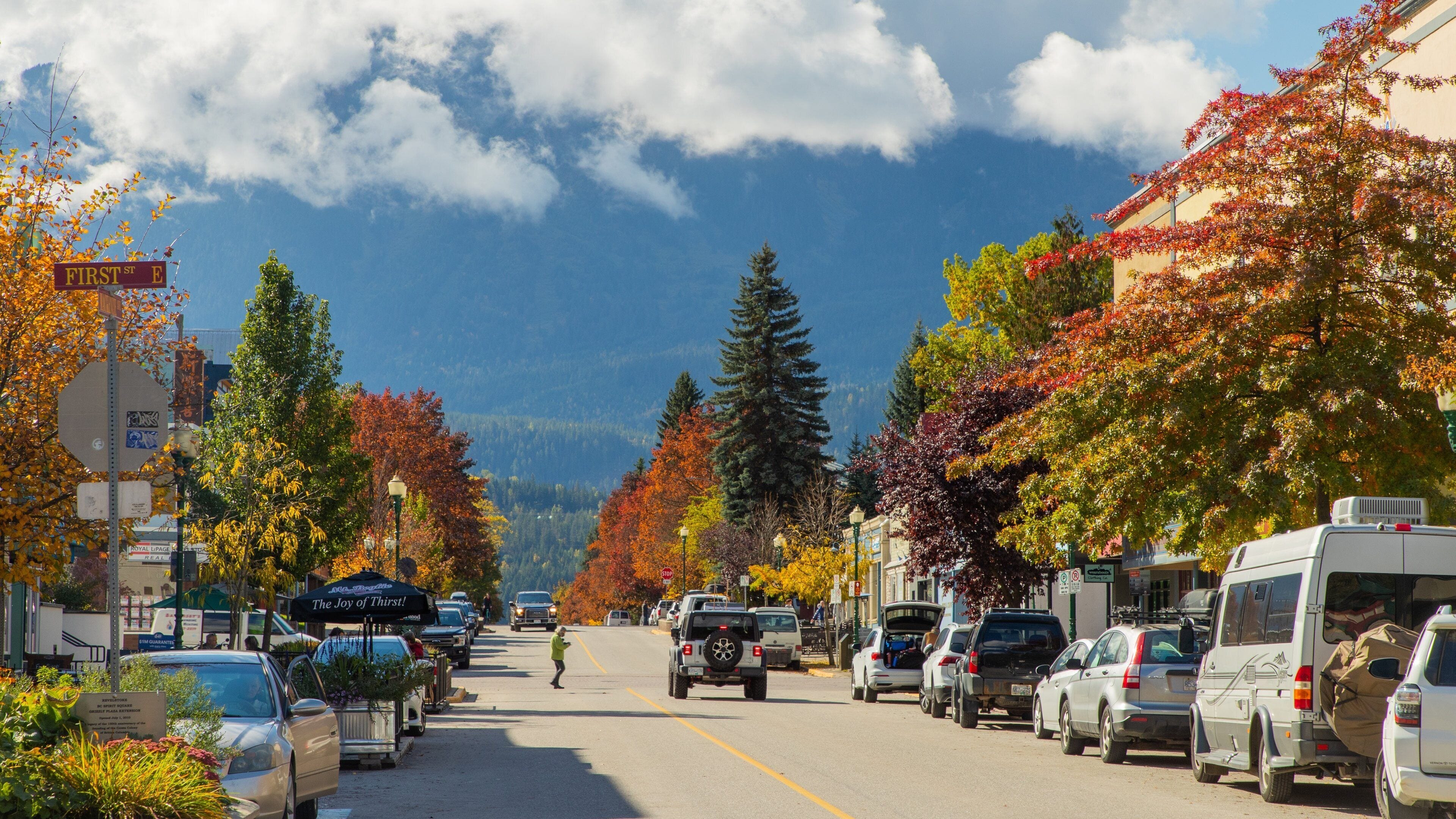 Revelstoke featuring a small town or village