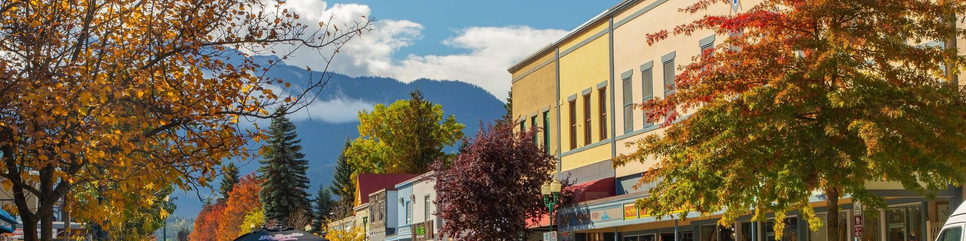 Revelstoke showing a small town or village