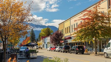 Revelstoke showing a small town or village