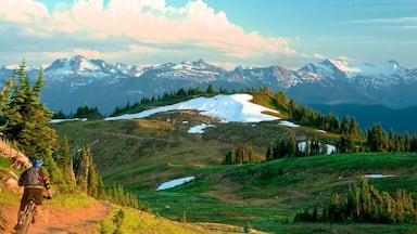 Revelstoke which includes landscape views, tranquil scenes and mountains