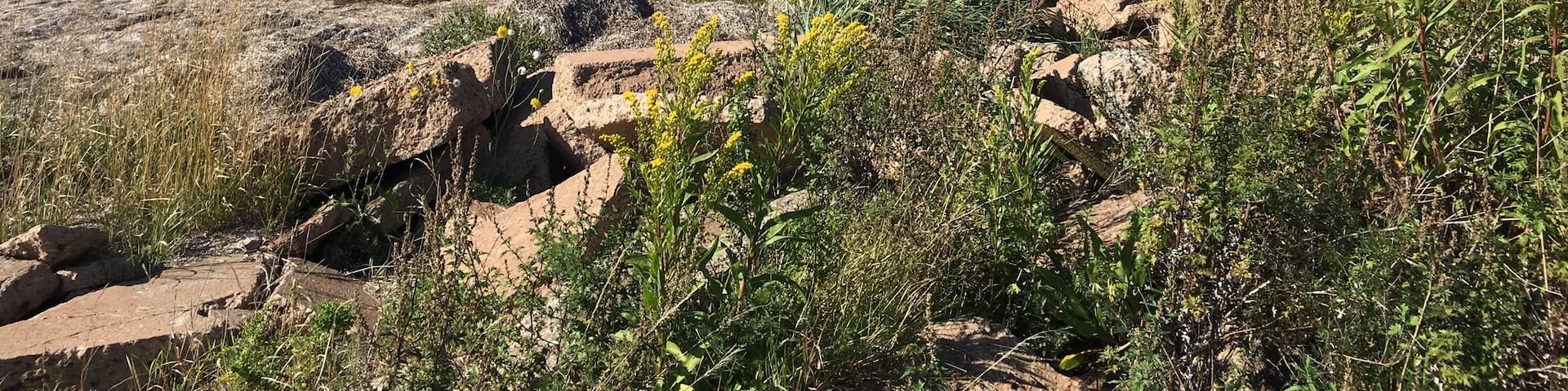 What a view of Malpeque Bay! (September 2016)
Haven't been to Prince Edward Island in years.... Glad to be back.