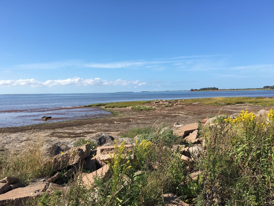What a view of Malpeque Bay! (September 2016)
Haven't been to Prince Edward Island in years.... Glad to be back.