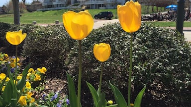 Beautiful spot by the James river drenched in history