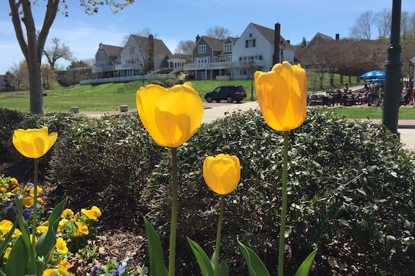 Beautiful spot by the James river drenched in history