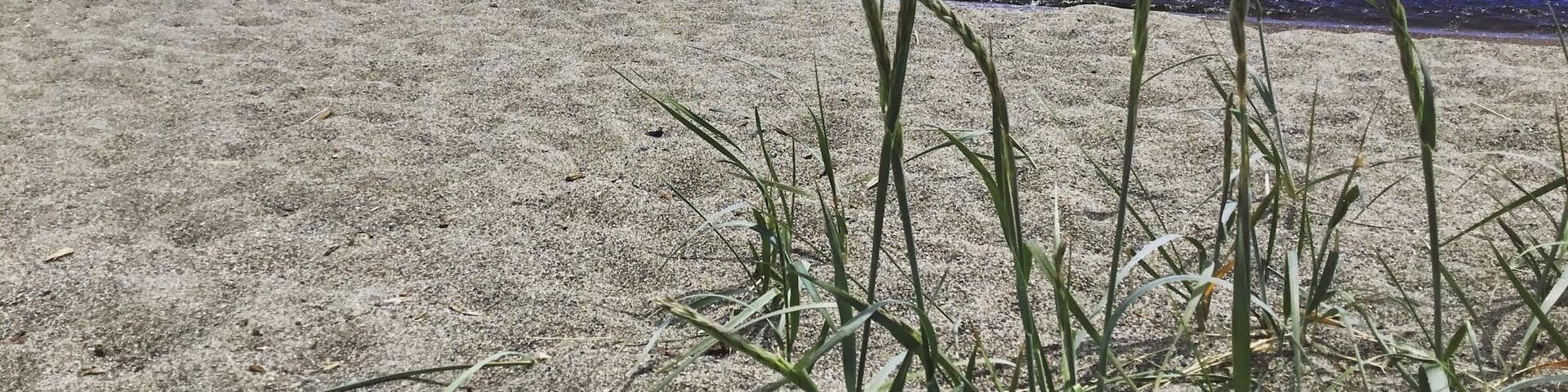 Beautiful beach on the shores of Lake Superior