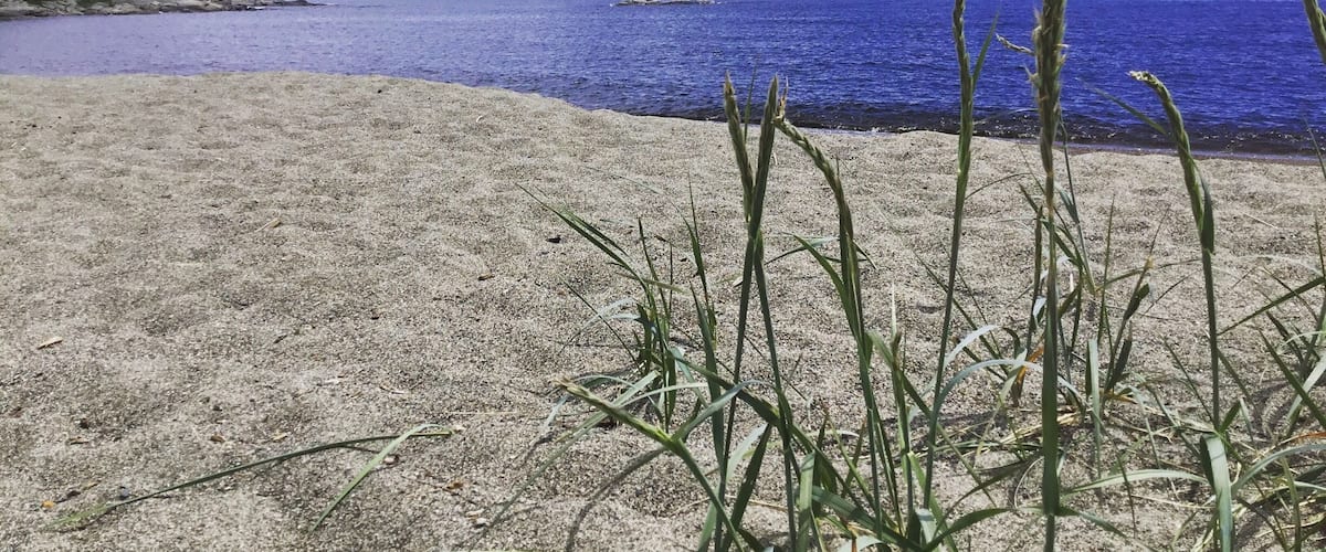 A beach with sand, grass, and a blue sea under a partly cloudy sky.