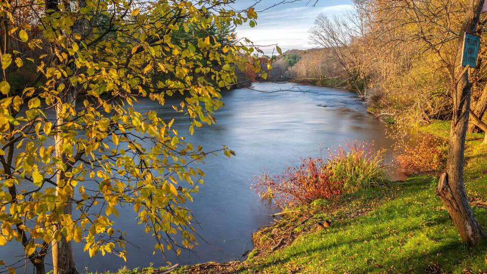 A river with autumn foliage, a grassy bank, and a sign on a tree.