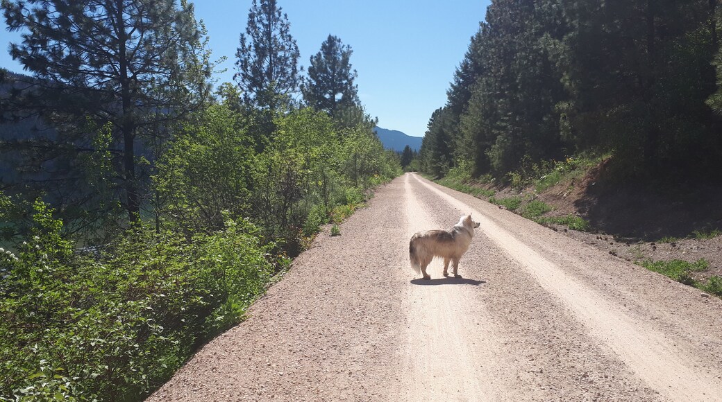 Talk about heaven...this Trail is a dream. Used to be a railroad so flat but not boring. Look for a beach to call your own for the day and enjoy this jewel of a lake....Let's Go!!