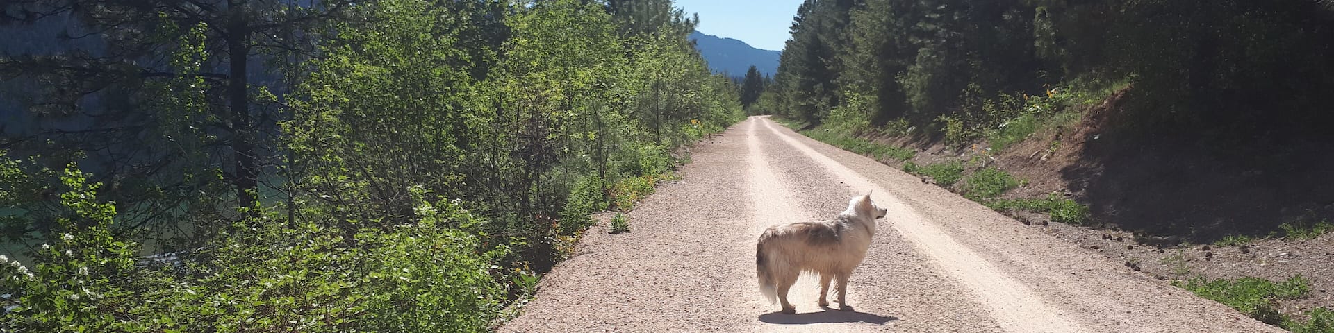 Talk about heaven...this Trail is a dream. Used to be a railroad so flat but not boring. Look for a beach to call your own for the day and enjoy this jewel of a lake....Let's Go!!
