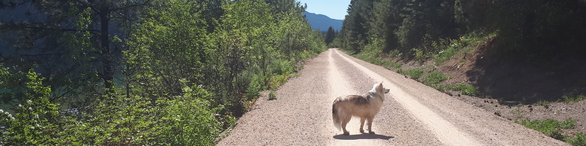 Talk about heaven...this Trail is a dream. Used to be a railroad so flat but not boring. Look for a beach to call your own for the day and enjoy this jewel of a lake....Let's Go!!