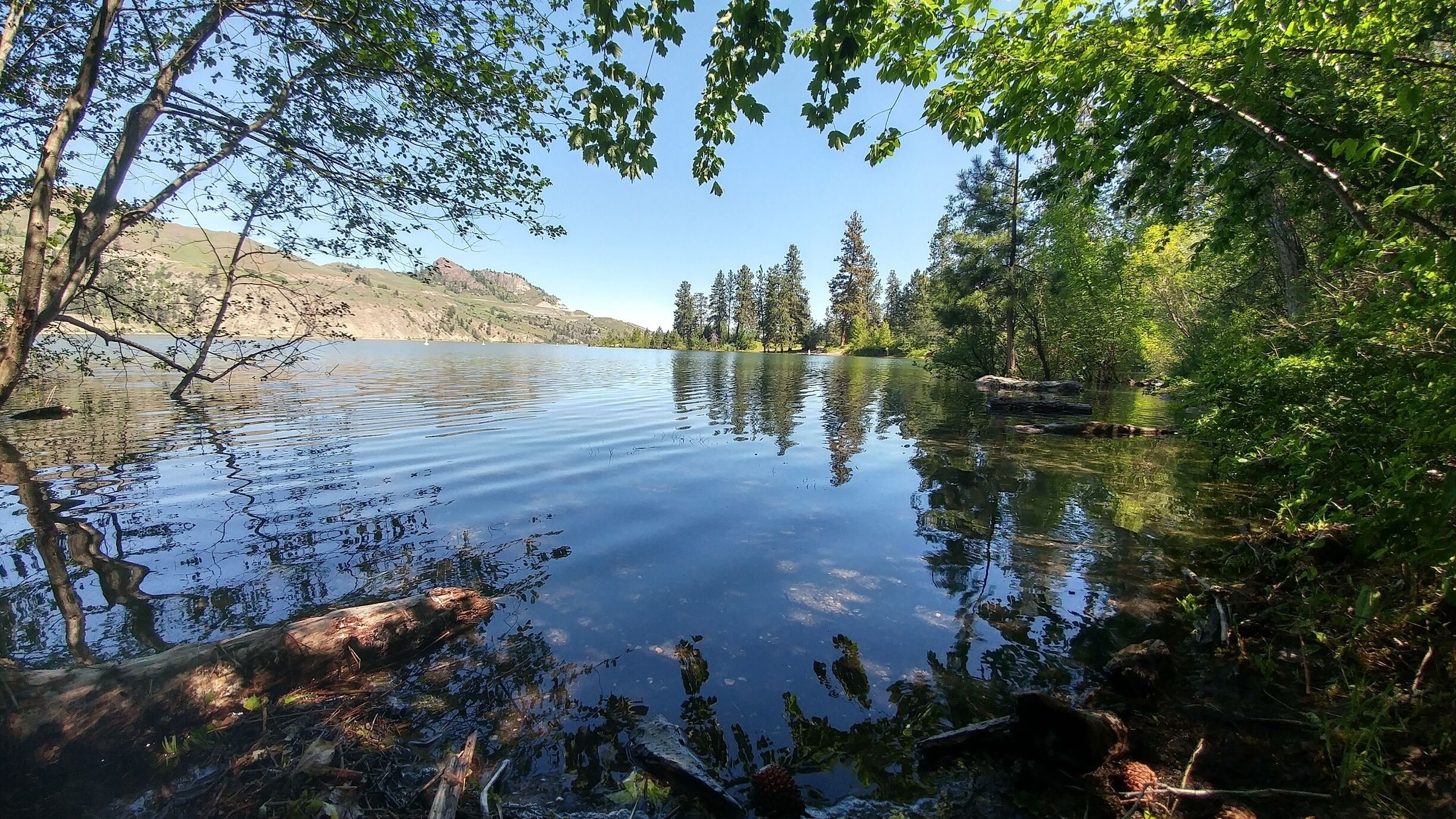 When the moon is just right the water rises🌙🌲