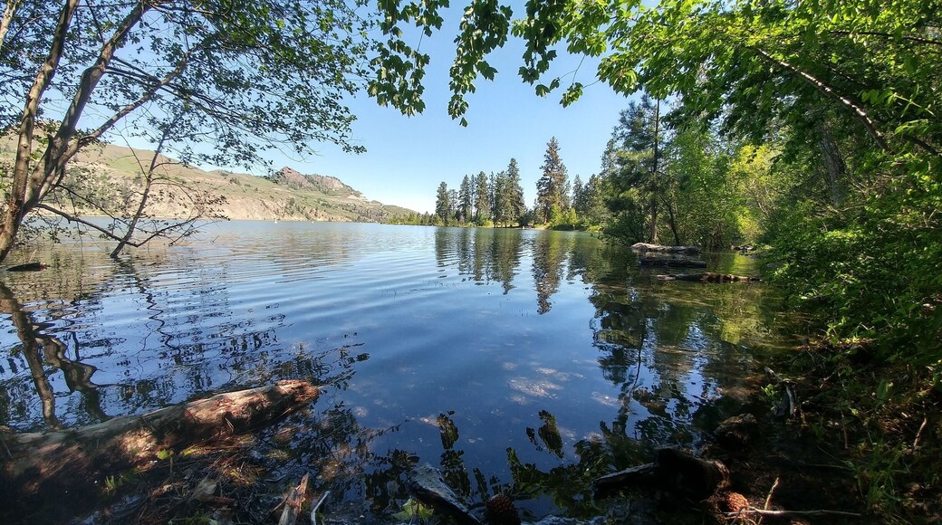 When the moon is just right the water rises🌙🌲
