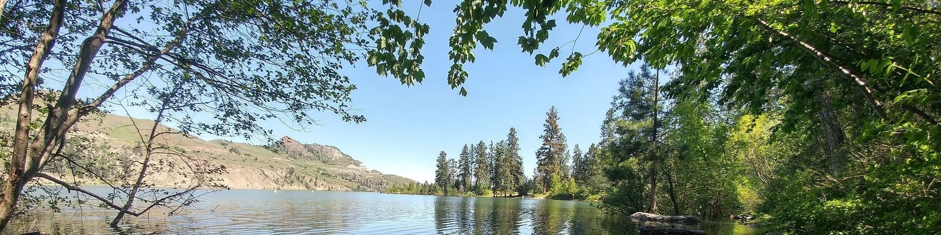 When the moon is just right the water rises🌙🌲