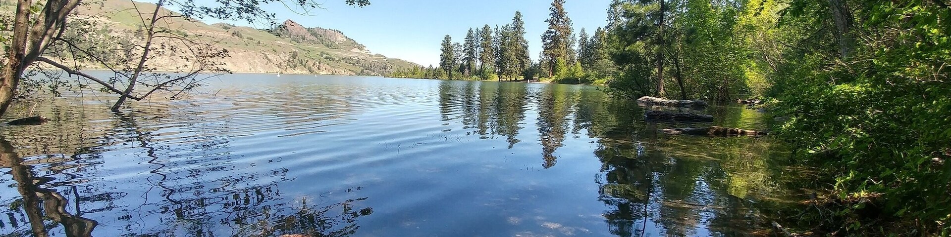 When the moon is just right the water rises🌙🌲