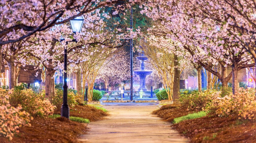 Macon, Georgia, USA in the Spring